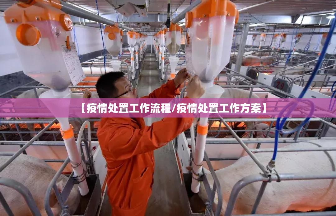 【疫情处置工作流程/疫情处置工作方案】