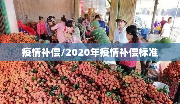 疫情补偿/2020年疫情补偿标准 疫情补偿/2020年疫情补偿标准
