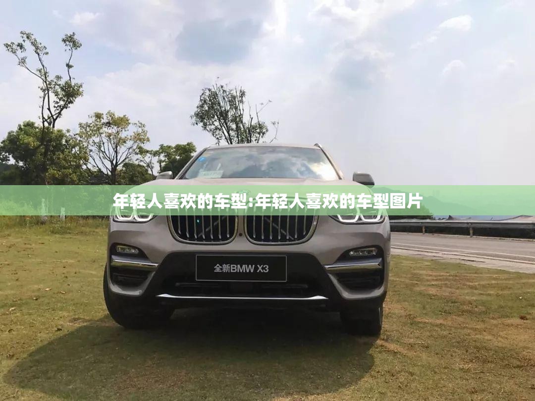 年轻人喜欢的车型:年轻人喜欢的车型图片