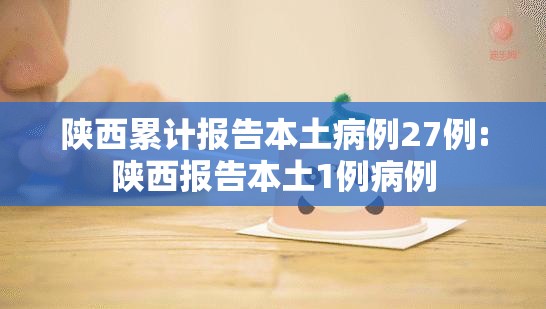陕西累计报告本土病例27例:陕西报告本土1例病例