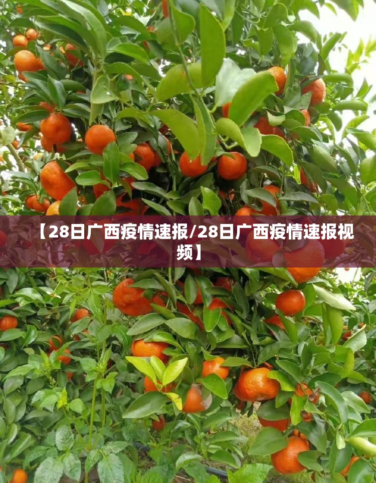 【28日广西疫情速报/28日广西疫情速报视频】 【28日广西疫情速报/28日广西疫情速报视频】