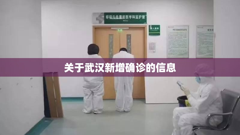 关于武汉新增确诊的信息 关于武汉新增确诊的信息