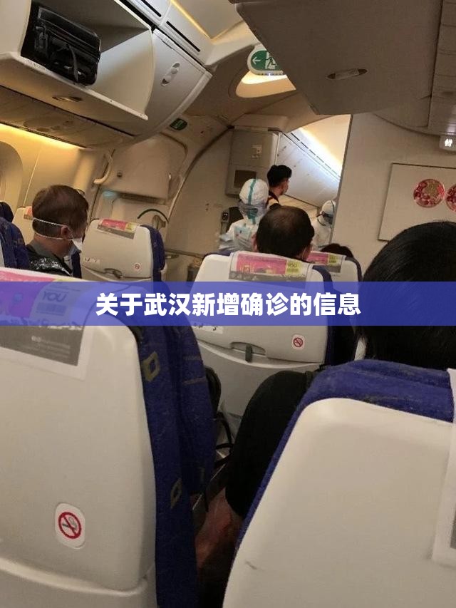 关于武汉新增确诊的信息 关于武汉新增确诊的信息