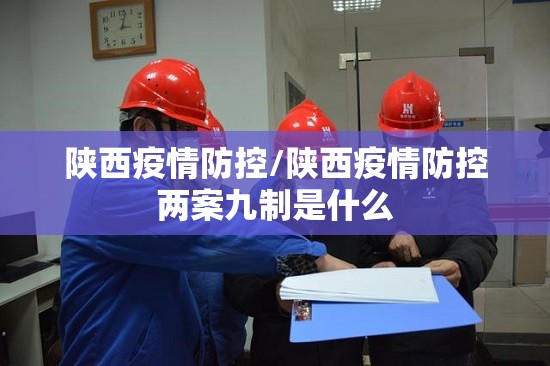 陕西疫情防控/陕西疫情防控两案九制是什么 陕西疫情防控/陕西疫情防控两案九制是什么