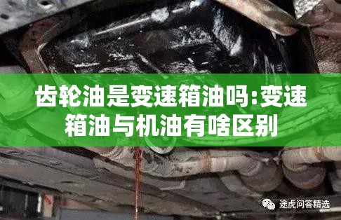 齿轮油是变速箱油吗:变速箱油与机油有啥区别