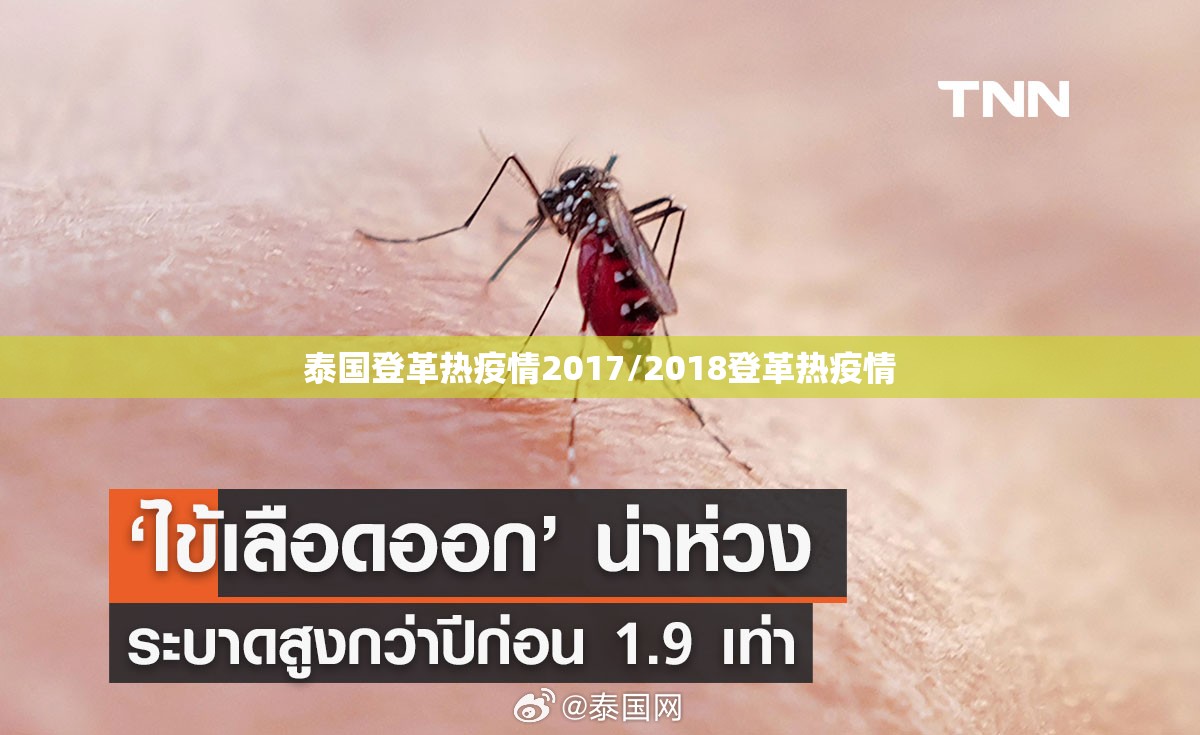 泰国登革热疫情2017/2018登革热疫情