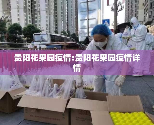 贵阳花果园疫情:贵阳花果园疫情详情