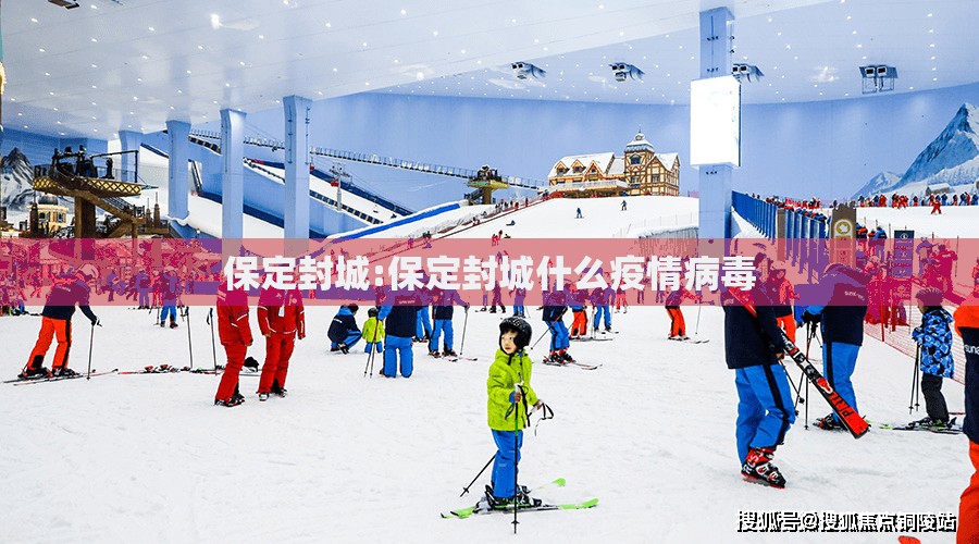 保定封城:保定封城什么疫情病毒