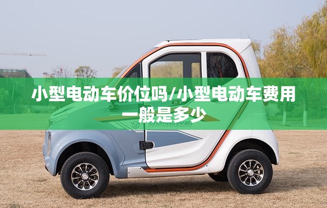 小型电动车价位吗/小型电动车费用一般是多少