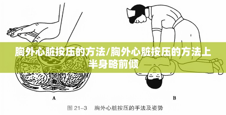 胸外心脏按压的方法/胸外心脏按压的方法上半身略前倾