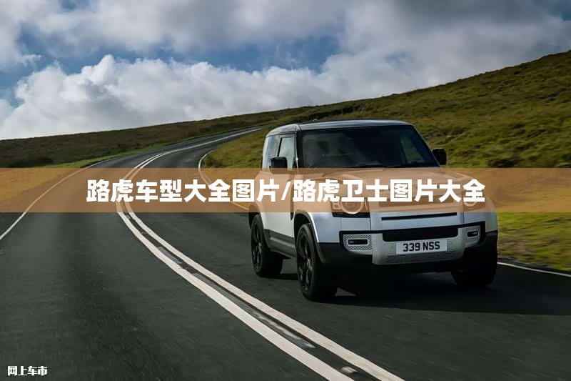 路虎车型大全图片/路虎卫士图片大全