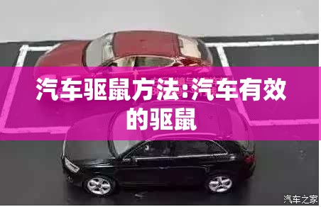 汽车驱鼠方法:汽车有效的驱鼠
