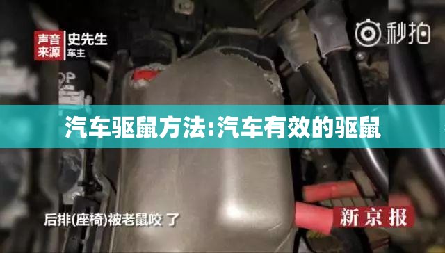 汽车驱鼠方法:汽车有效的驱鼠