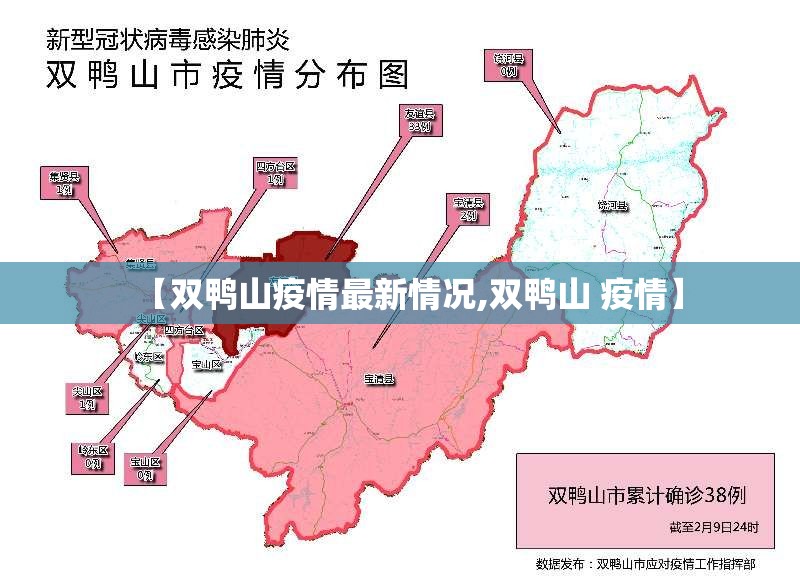 【双鸭山疫情最新情况,双鸭山 疫情】