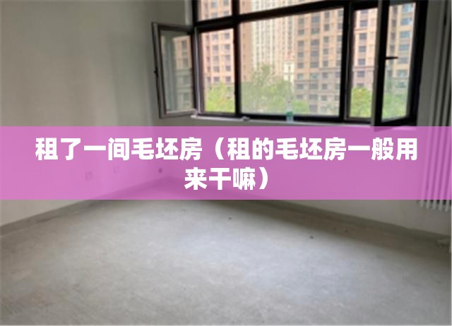 租了一间毛坯房（租的毛坯房一般用来干嘛）