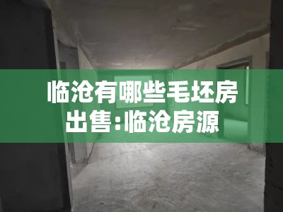临沧有哪些毛坯房出售:临沧房源