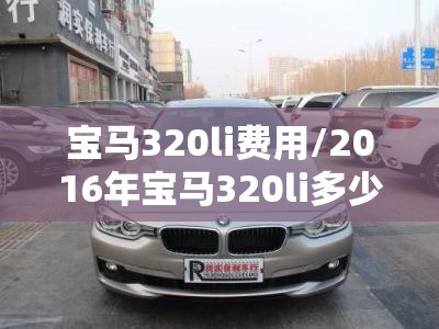 宝马320li费用/2016年宝马320li多少钱