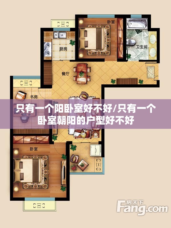 只有一个阳卧室好不好/只有一个卧室朝阳的户型好不好