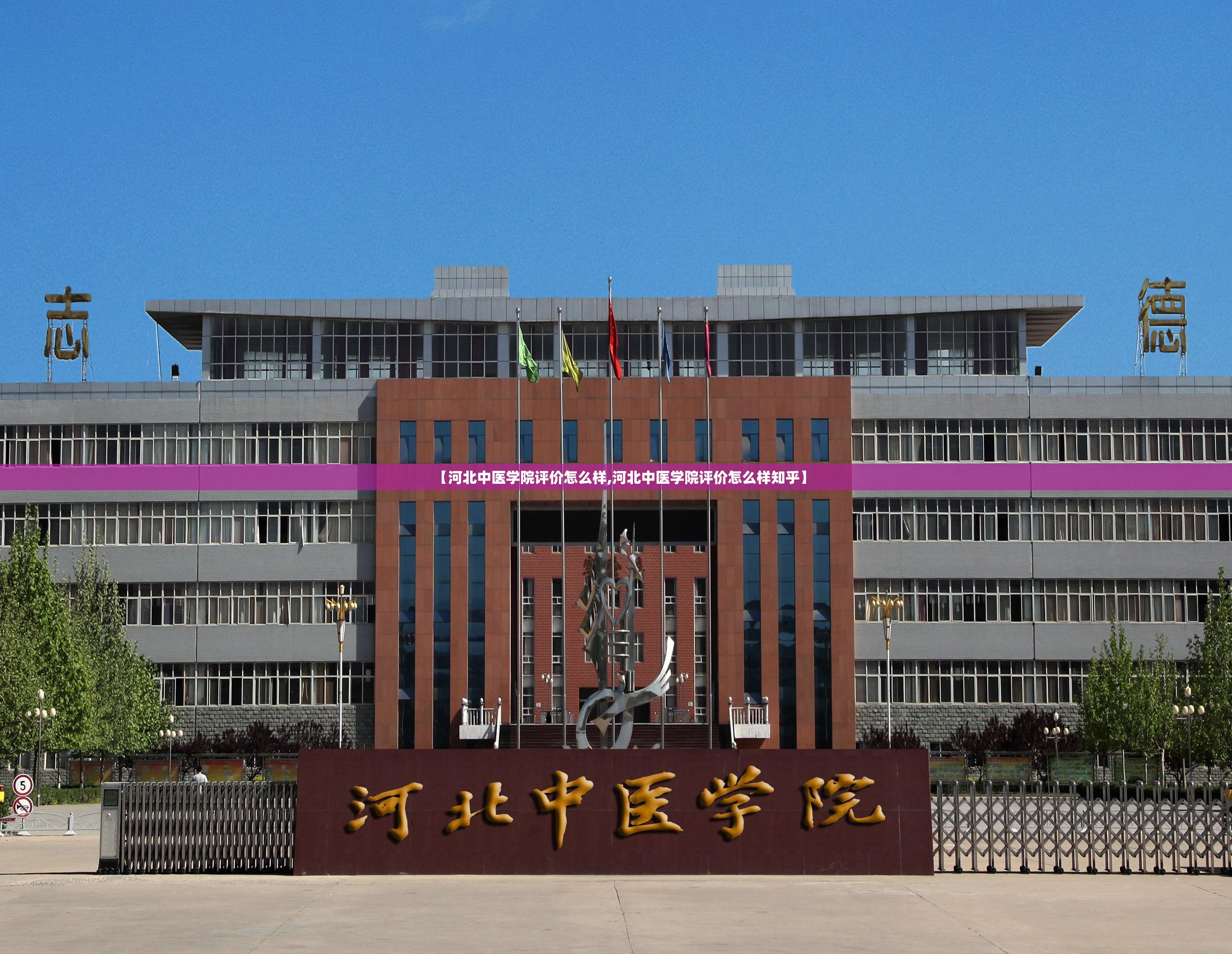 【河北中医学院评价怎么样,河北中医学院评价怎么样知乎】