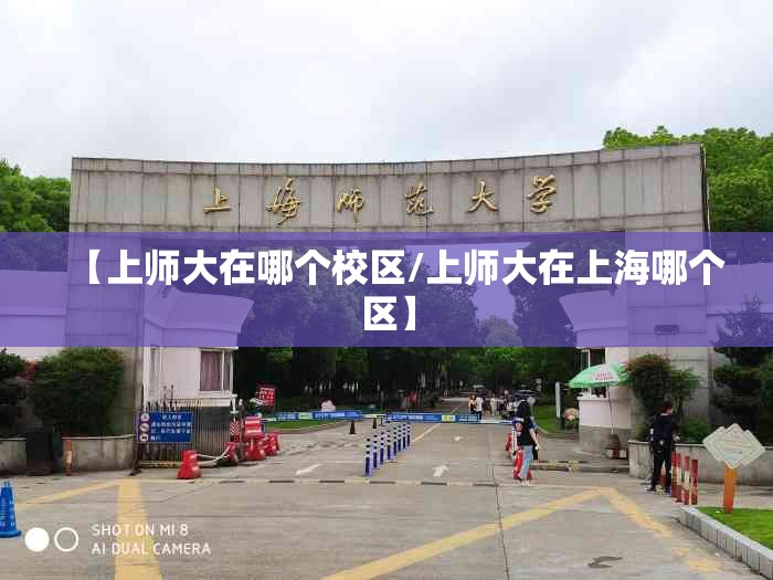 【上师大在哪个校区/上师大在上海哪个区】