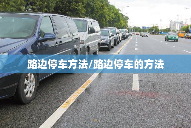 路边停车方法/路边停车的方法
