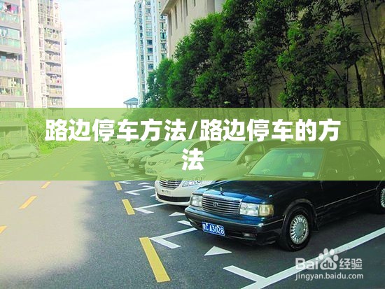 路边停车方法/路边停车的方法