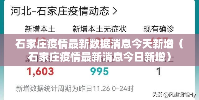 石家庄疫情最新数据消息今天新增（石家庄疫情最新消息今日新增）