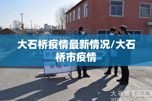 大石桥疫情最新情况/大石桥市疫情