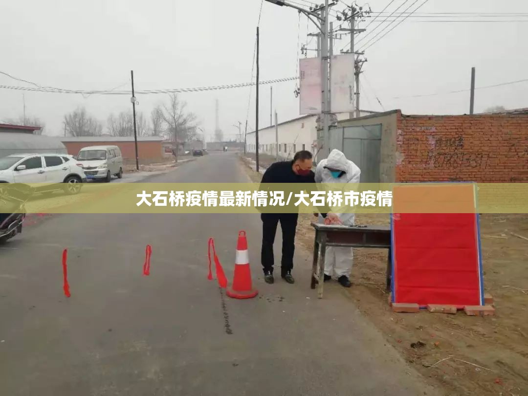 大石桥疫情最新情况/大石桥市疫情