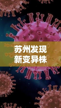 苏州发现新变异株:苏州市发现几例新型冠状病毒