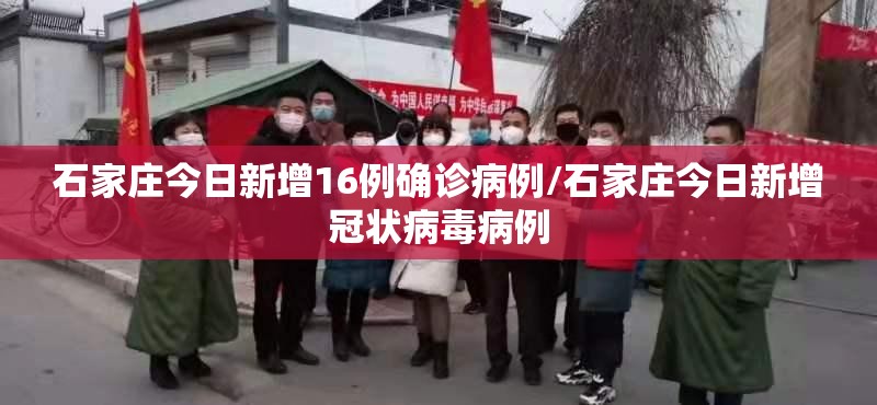 石家庄今日新增16例确诊病例/石家庄今日新增冠状病毒病例