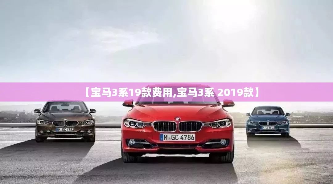 【宝马3系19款费用,宝马3系 2019款】