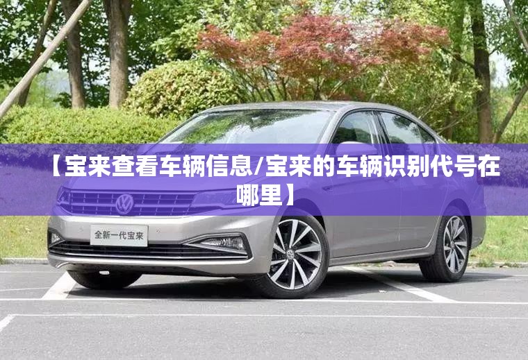【宝来查看车辆信息/宝来的车辆识别代号在哪里】