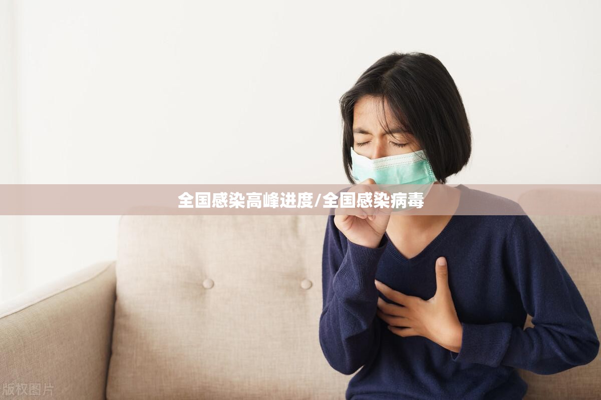 全国感染高峰进度/全国感染病毒