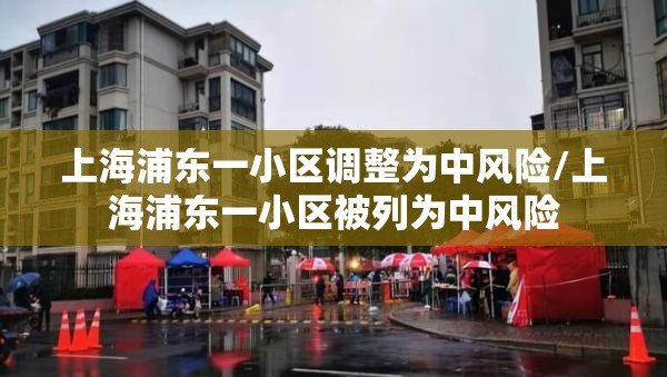上海浦东一小区调整为中风险/上海浦东一小区被列为中风险