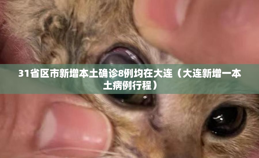 31省区市新增本土确诊8例均在大连（大连新增一本土病例行程）