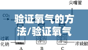 验证氧气的方法/验证氧气的方法是