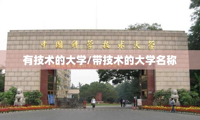 有技术的大学/带技术的大学名称 有技术的大学/带技术的大学名称