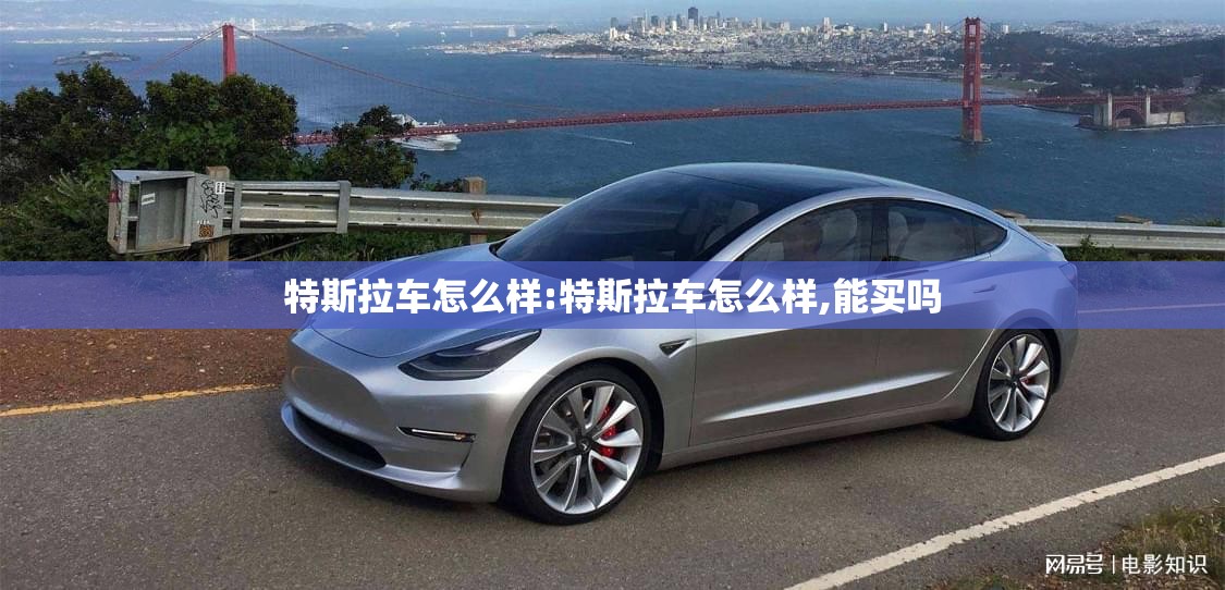 特斯拉车怎么样:特斯拉车怎么样,能买吗