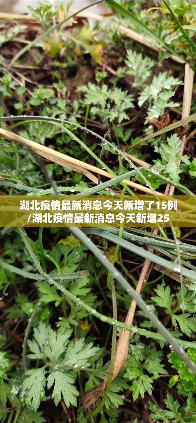 湖北疫情最新消息今天新增了15例/湖北疫情最新消息今天新增25 湖北疫情最新消息今天新增了15例/湖北疫情最新消息今天新增25