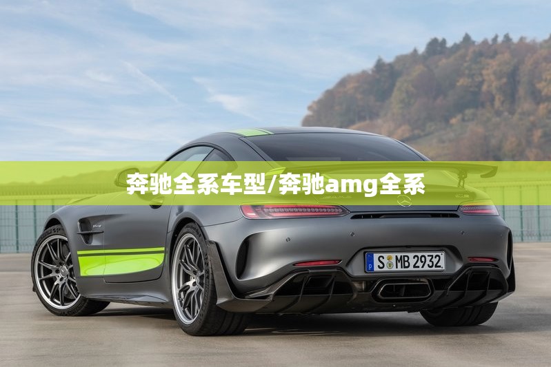 奔驰全系车型/奔驰amg全系