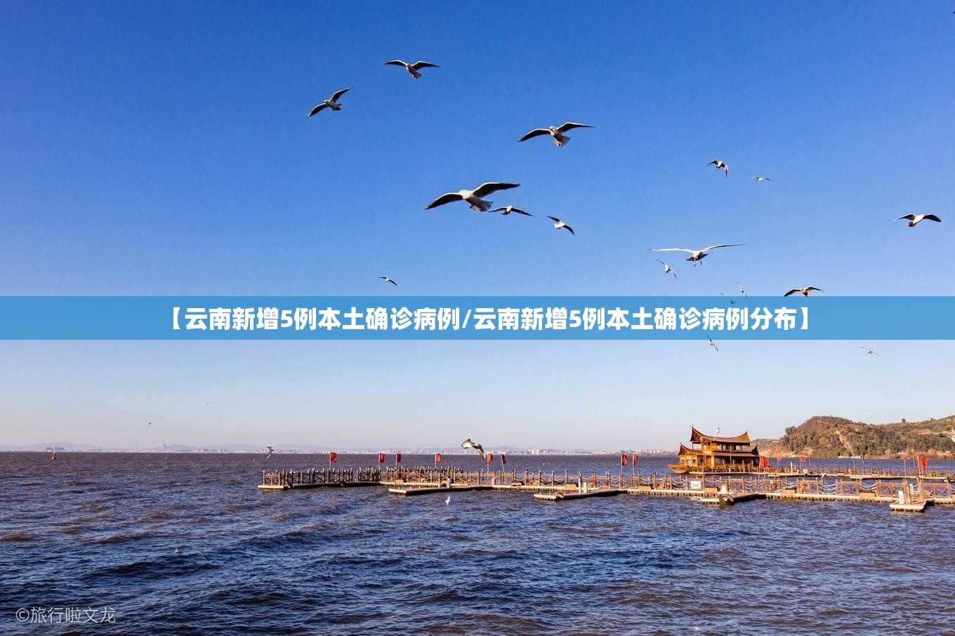 【云南新增5例本土确诊病例/云南新增5例本土确诊病例分布】