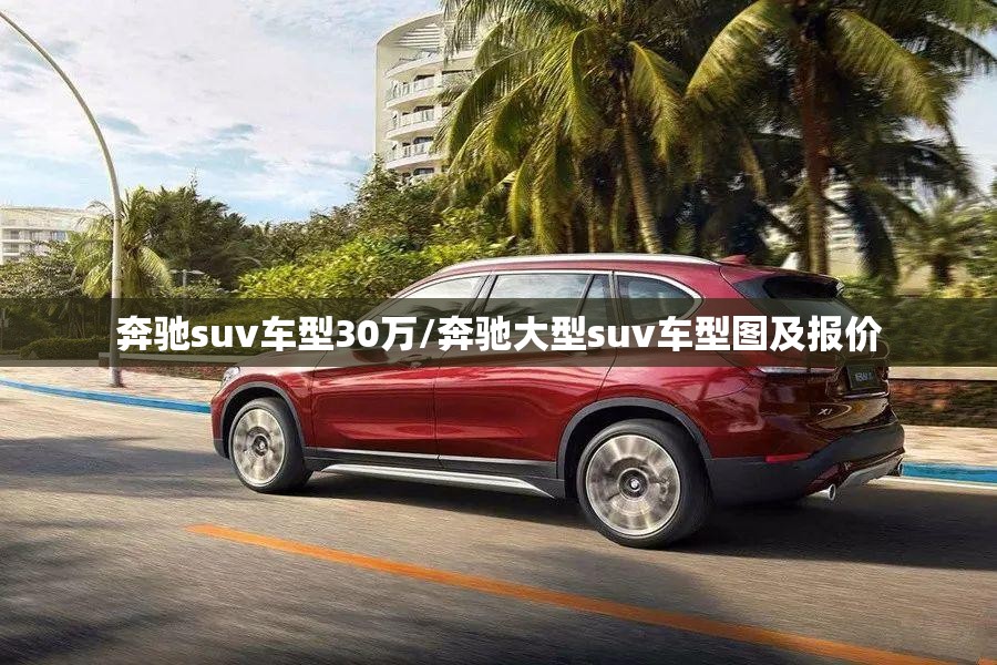 奔驰suv车型30万/奔驰大型suv车型图及报价 奔驰suv车型30万/奔驰大型suv车型图及报价