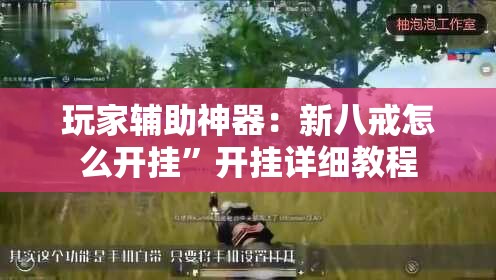 玩家辅助神器：新八戒怎么开挂	”开挂详细教程