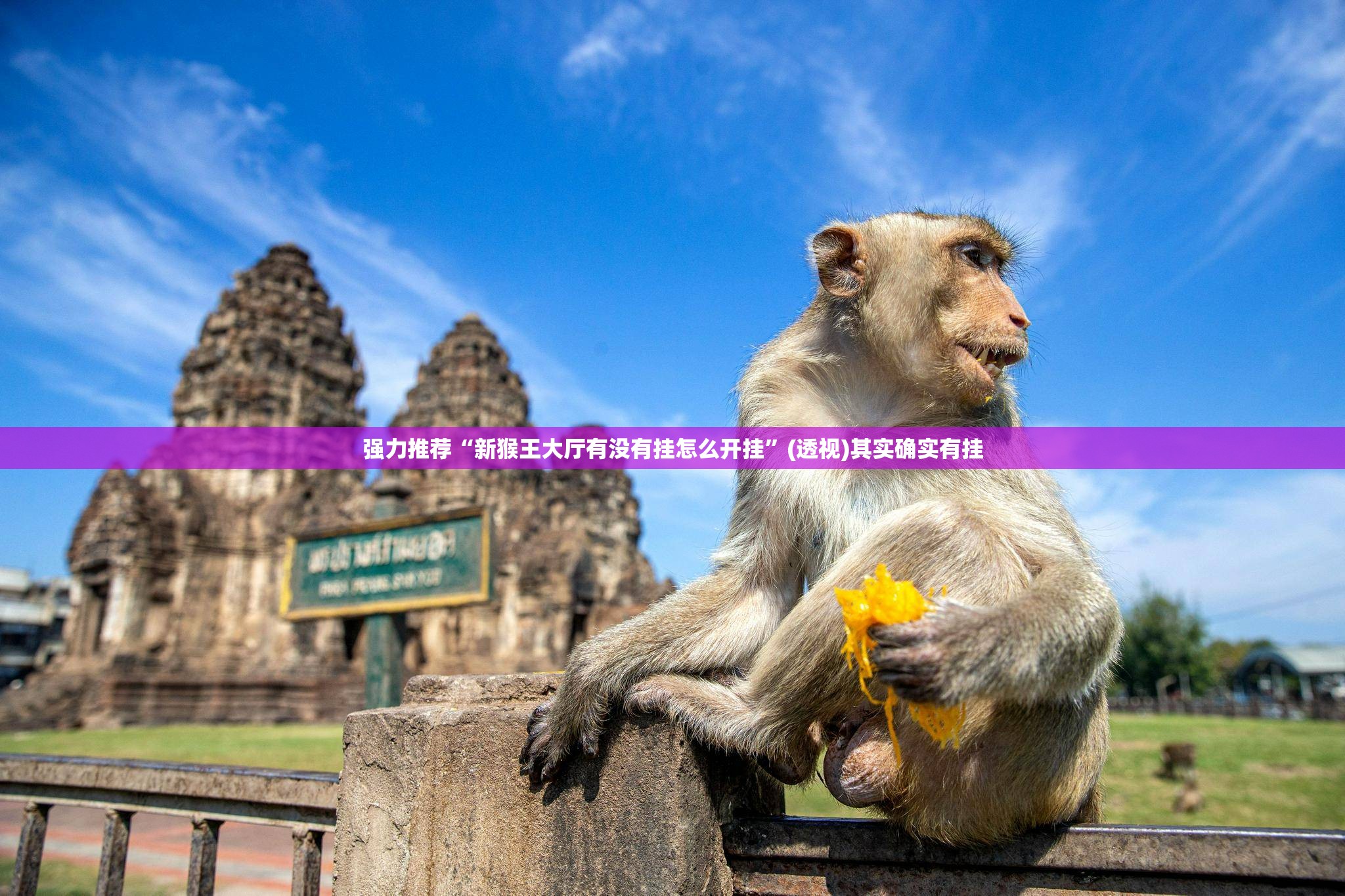 强力推荐“新猴王大厅有没有挂怎么开挂”(透视)其实确实有挂