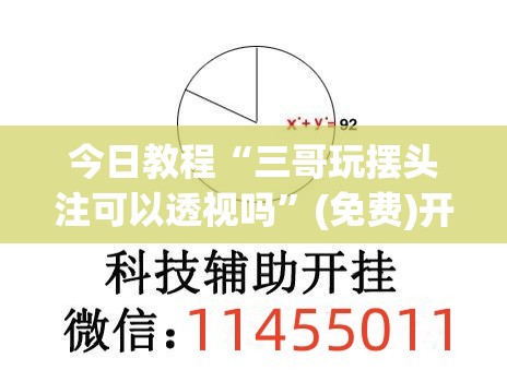 今日教程“三哥玩摆头注可以透视吗”(免费)开挂辅助教学(最新辅助开挂教程)