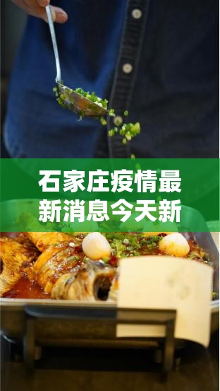 石家庄疫情最新消息今天新增了15例(石家庄疫情最新消息今天新增了15例病例) 石家庄疫情最新消息今天新增了15例(石家庄疫情最新消息今天新增了15例病例)