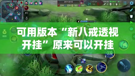 可用版本“新八戒透视开挂”原来可以开挂