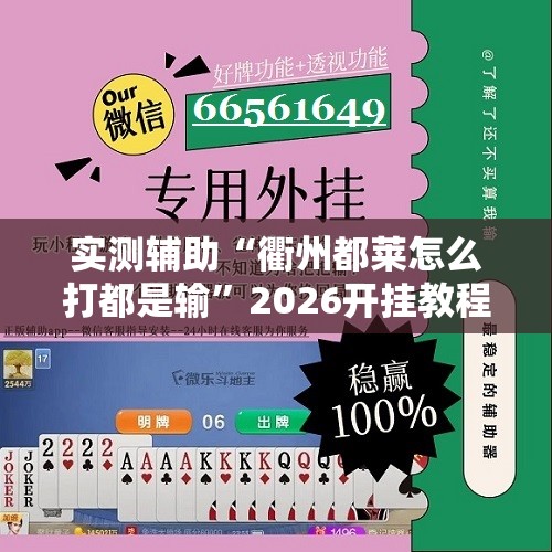 实测辅助“衢州都莱怎么打都是输”2026开挂教程步骤