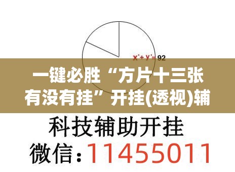 一键必胜“方片十三张有没有挂”开挂(透视)辅助神器